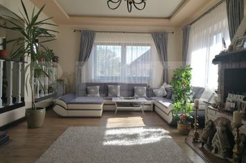 Vilă - 6 camere de vanzare SANANDREI - Timis anunturi imobiliare Timis