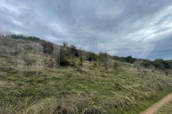 Teren de vanzare DRAMBAR - Alba anunturi imobiliare Alba