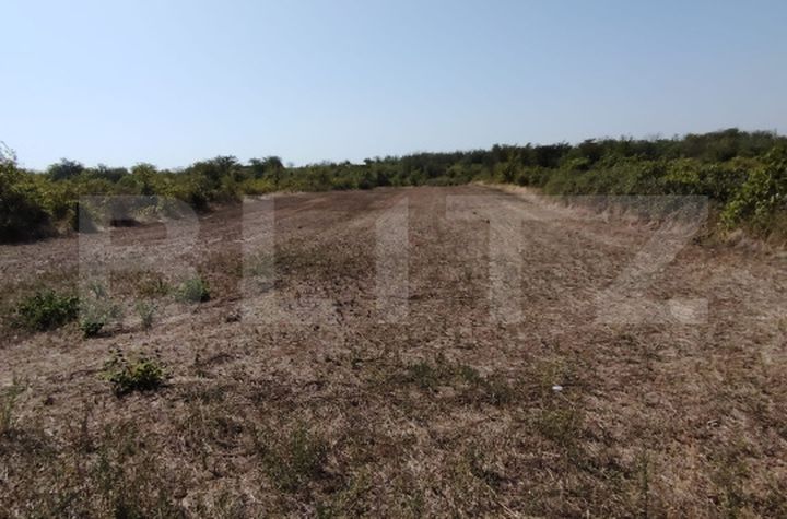 Teren de vanzare CARCEA - Dolj anunturi imobiliare Dolj