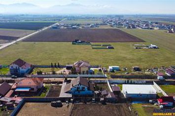 Teren Intravilan de vanzare EXTERIOR EST - Brasov anunturi imobiliare Brasov