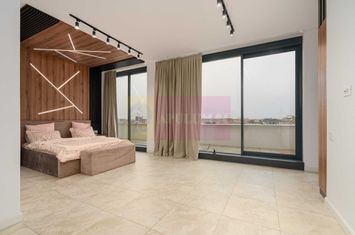 Vanzare Penthouse de lux - Apartament 4 camere Piata Muncii anunturi imobiliare Bucuresti