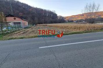 Teren Intravilan de vanzare AMPOITA - Alba anunturi imobiliare Alba