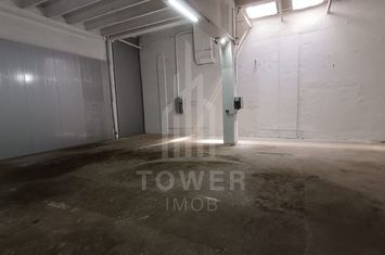 Hala de inchiriat - 119 mp anunturi imobiliare Sibiu