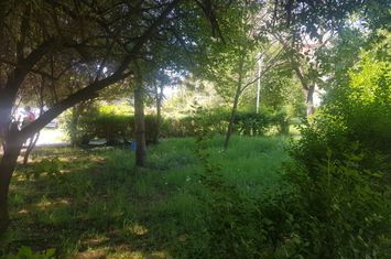 Teren intravilan 719 m.p Timisoara, Bv. Take Ionescu 59 anunturi imobiliare Timis