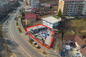 De Inchiriat - Spațiu Comercial Showroom + Hale + Parcare- 0% Comision anunturi imobiliare Iasi