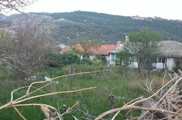 Teren construibil 272 mp în Theologos, Thassos anunturi imobiliare Grecia