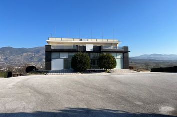 Spațiu comercial 1.100 mp pe 3 niveluri, Serres-Drama anunturi imobiliare Grecia