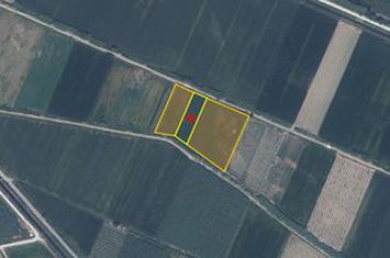 Teren agricol 12.816 mp, Drymousa Chrysoupolis anunturi imobiliare Grecia