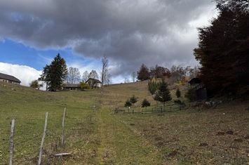 Teren 5839 mp Dambovicioara - Ciocanu - Fundata - zona montana anunturi imobiliare Arges