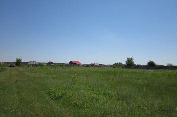 Domnesti Teghes-Caminului anunturi imobiliare Bucuresti