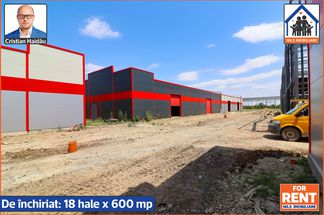 Spațiu industrial de închiriat Bucuresti - Jilava