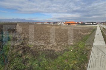 Teren de vanzare CIUGUD - Alba anunturi imobiliare Alba