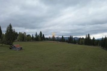 Teren Intravilan de vanzare FUNDU MOLDOVEI - Suceava anunturi imobiliare Suceava