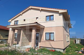 Vilă - 4 camere de vanzare SANANDREI - Timis anunturi imobiliare Timis