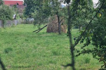 Teren de vânzare în Brebu - Zona Brebu Mânastirei anunturi imobiliare Prahova