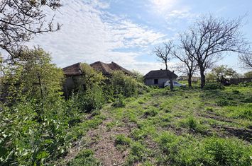 Teren de vanzare COBADIN - Constanta anunturi imobiliare Constanta