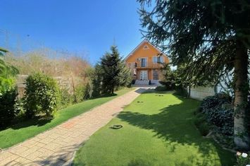 Vila Nojorid 177 mp utili, 180.000 € anunturi imobiliare Bihor