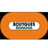 Bouygues a inchis un santier de 30 mil. euro din cauza crizei