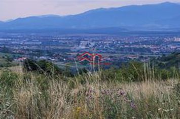 Teren Intravilan de vanzare GUSTERITA - Sibiu anunturi imobiliare Sibiu