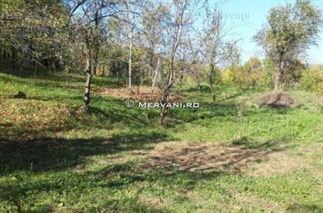 TEREN INTRAVILAN BREBU anunturi imobiliare Prahova