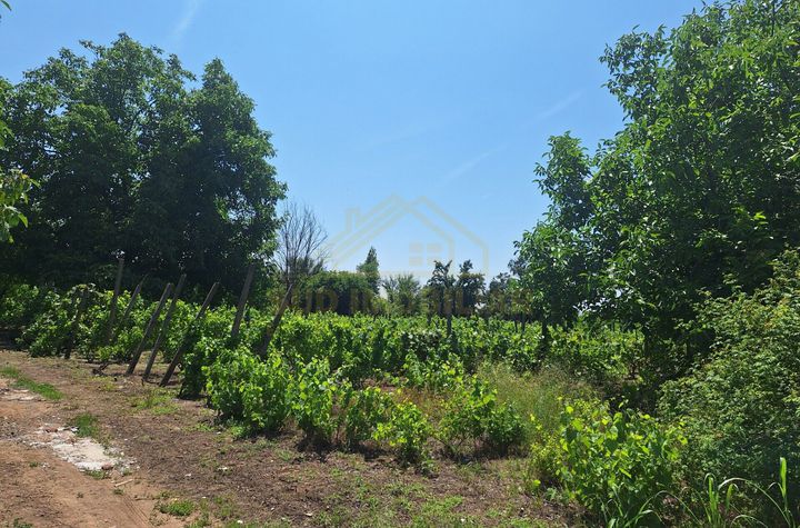 TEREN INTRAVILAN-500 MP-PASARELA POPESTI VEST anunturi imobiliare Bucuresti