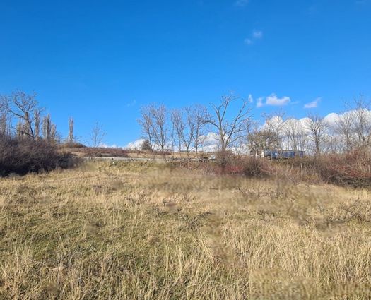 Teren Rosia, 4821 mp