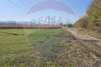 De Vânzare Teren  Arabil 9,368mp Cisnadioara / DJ 106D ,Str. Artarului anunturi imobiliare Sibiu