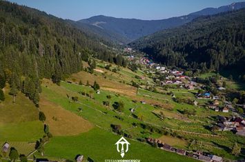 Teren de vanzare TARGU NEAMT - Neamt anunturi imobiliare Neamt
