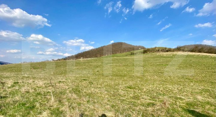 Teren de vanzare BISTRITA - Bistrita-Nasaud anunturi imobiliare Bistrita-Nasaud