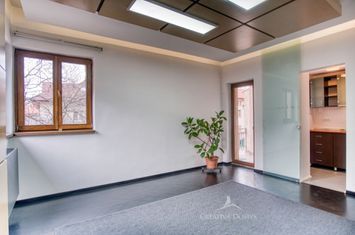 Spatiu de birouri in vila - Decebal anunturi imobiliare Bucuresti