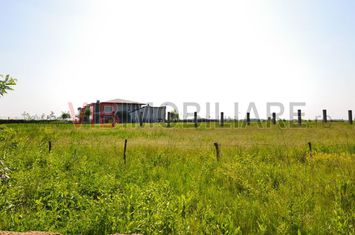 Teren intravilan situat in zona Padurea Baneasa anunturi imobiliare Bucuresti