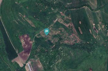 Teren de 195 Hectare Arabil în Cincu, Brașov anunturi imobiliare Brasov
