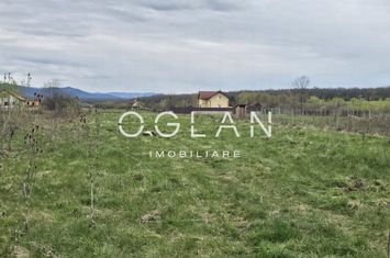 Teren de vanzare SIBIU - Sibiu anunturi imobiliare Sibiu