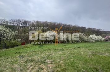Teren de vanzare DEVA - Hunedoara anunturi imobiliare Hunedoara