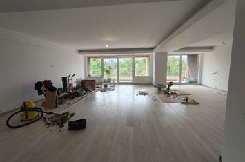 Brand NEW apartment with Herastrau Park view anunturi imobiliare Bucuresti