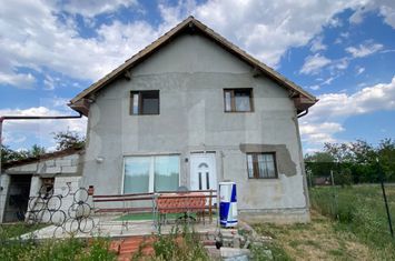 Vilă - 4 camere de vanzare SECEANI - Timis anunturi imobiliare Timis