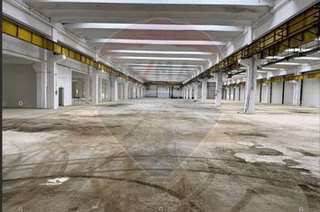 Spațiu industrial zona Avrig-proximitate DN1-Inchiriere anunturi imobiliare Sibiu