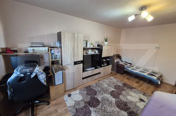 Apartament 2 camere de vanzare DEVA - Hunedoara anunturi imobiliare Hunedoara