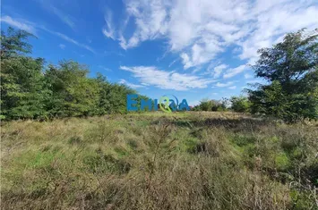 Teren Intravilan de vanzare HEMEIUS - Bacau anunturi imobiliare Bacau