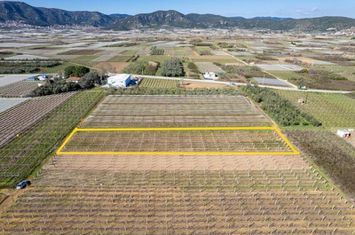 Teren agricol 2.235 mp în Elaiochori anunturi imobiliare Grecia