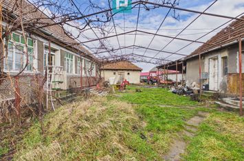 Casă cu teren generos, 4.000 mp, Chijic – Bihor anunturi imobiliare Bihor