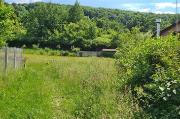 Teren Intravilan de vanzare NORD - Bacau anunturi imobiliare Bacau