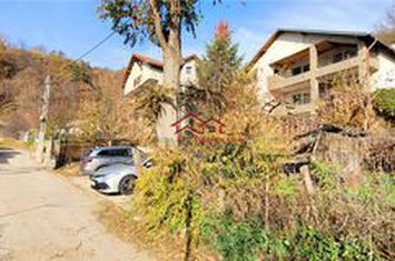Vilă - 5 camere de vanzare COPACELU - Valcea anunturi imobiliare Valcea