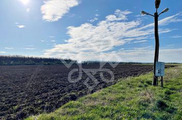 Teren de vanzare 93.020 mp, sat Pausa, Bihor anunturi imobiliare Bihor