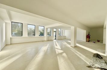 Spațiu comercial de inchiriat IASI - Iasi anunturi imobiliare Iasi