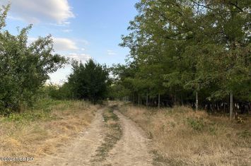 Corbeanca - Tamasi, intravilan, 16562 mp, deschidere 93 m, rezidential anunturi imobiliare Bucuresti