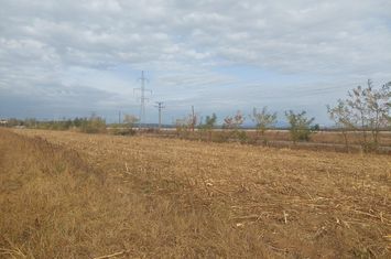 Teren dezvoltare rezidentiala / industriala, sat Dumbrava, Targoviște anunturi imobiliare Dambovita