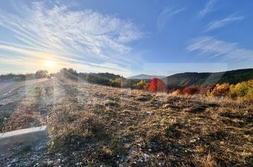 Teren de vanzare AIUD - Alba anunturi imobiliare Alba
