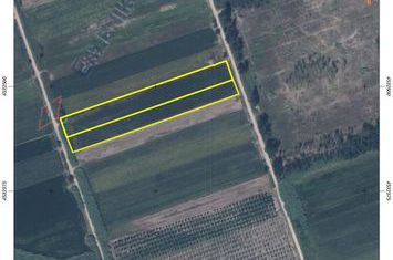 Teren agricol 9035 mp în Chrysochori (pachet) anunturi imobiliare Grecia