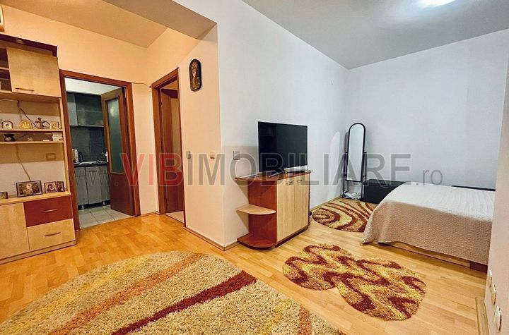 Drumul Taberei - Studio - Valea Ialomitei - C Brancusi anunturi imobiliare Bucuresti